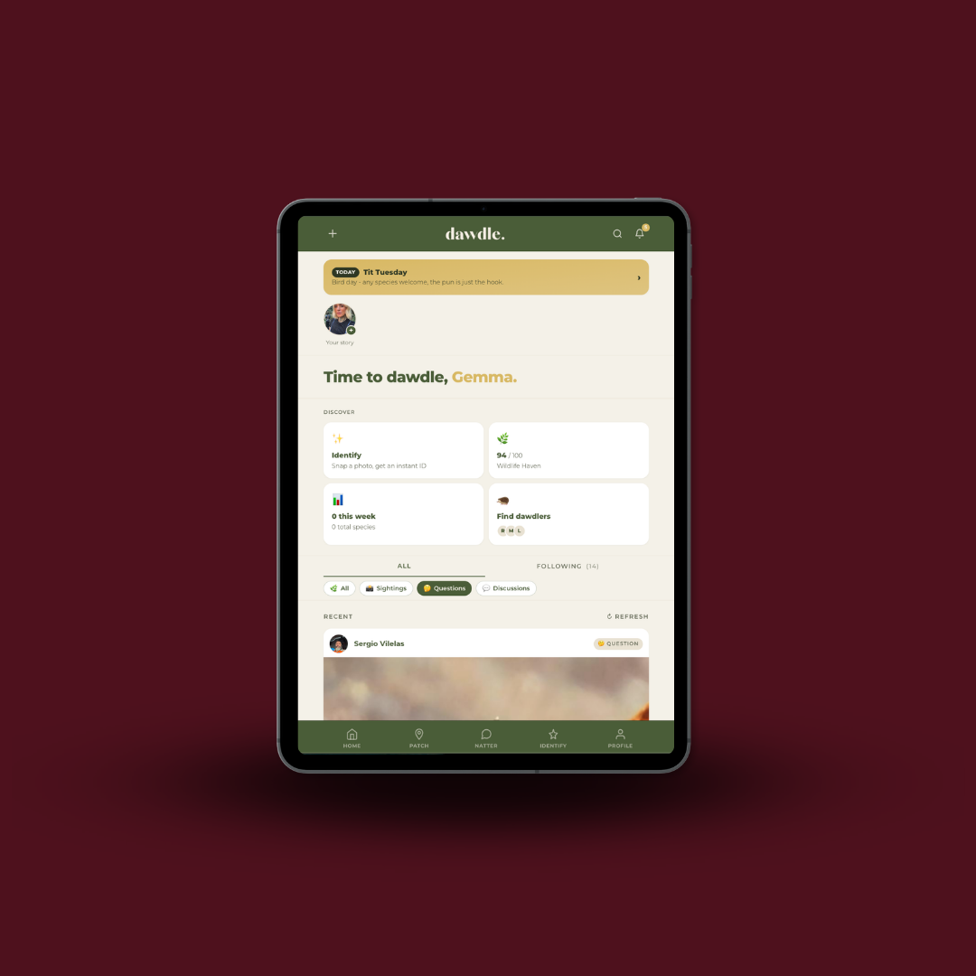 Dawdle software interface