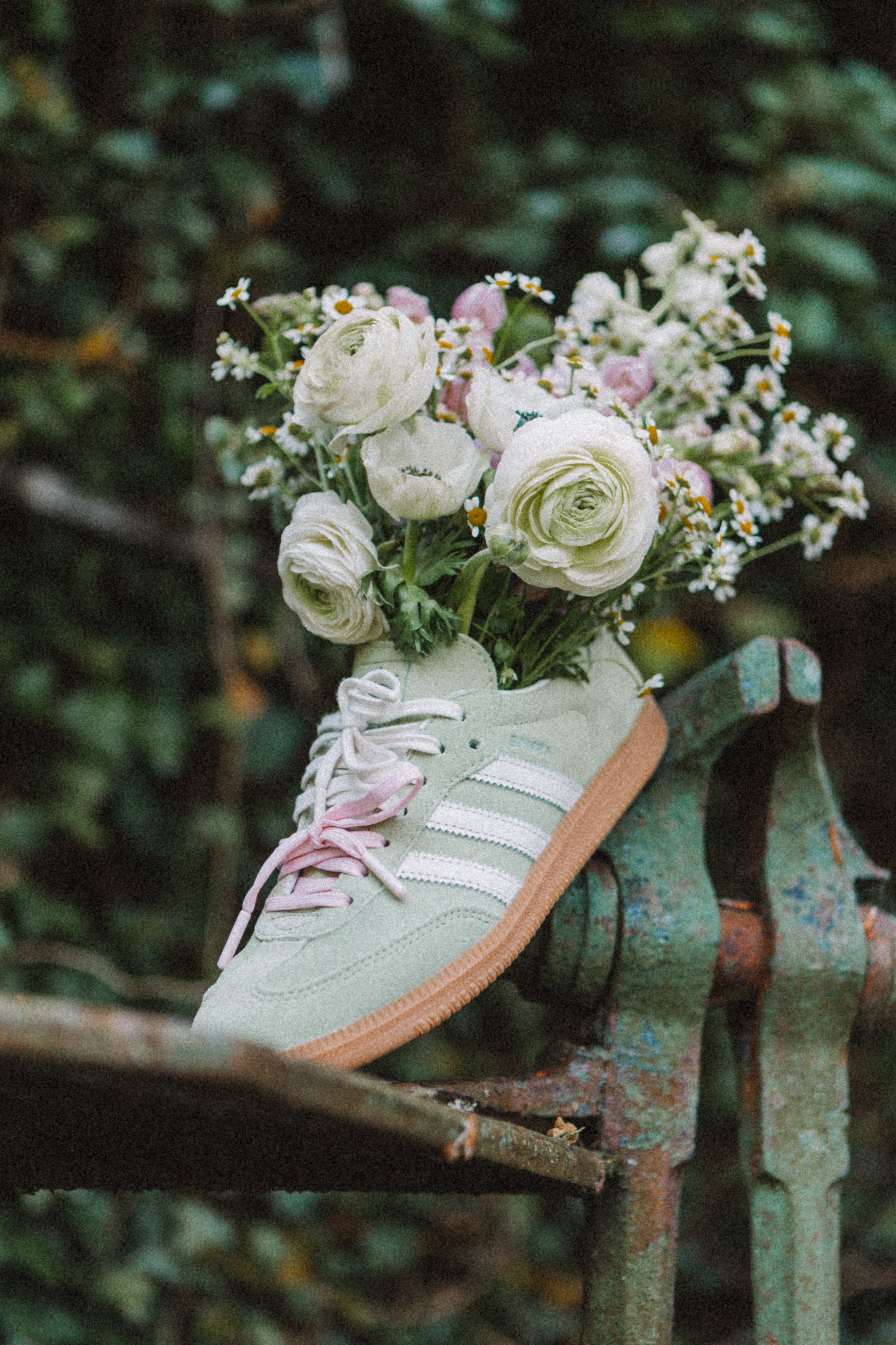 Sambas styling