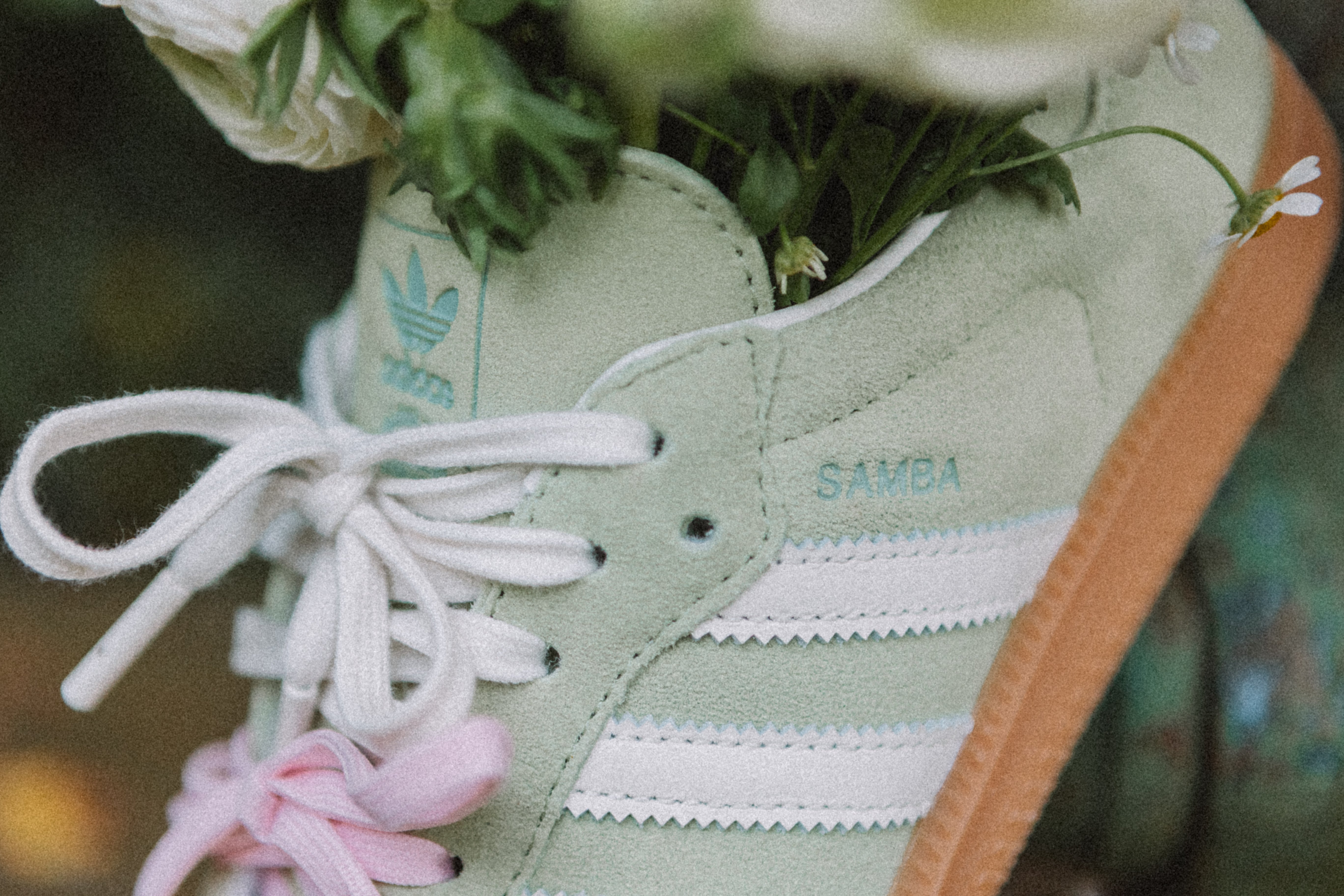 Sambas in Bloom