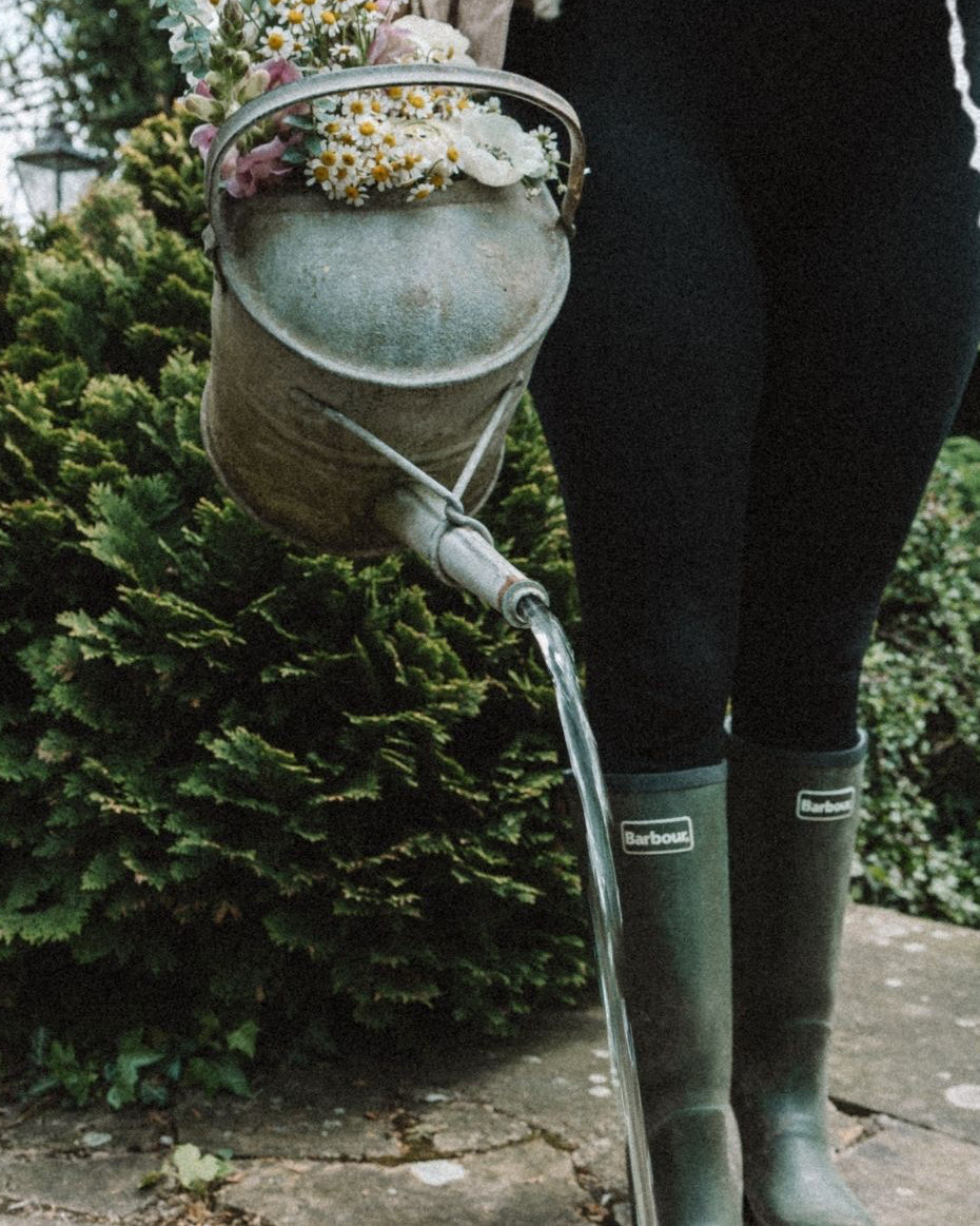 Garden editorial